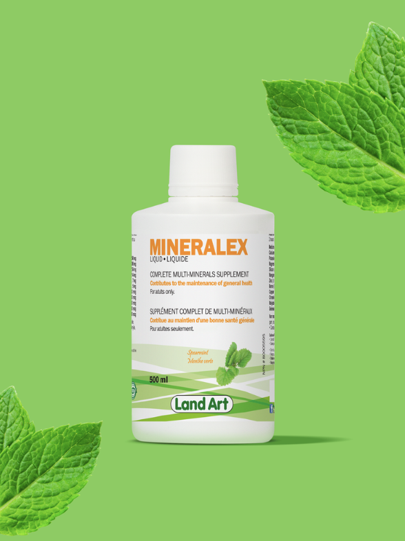 Mineralex - Supplément minéral liquide - Land Art - 500ml - Menthe Verte - **PRODUIT DISPONIBLE SUR COMMANDE**